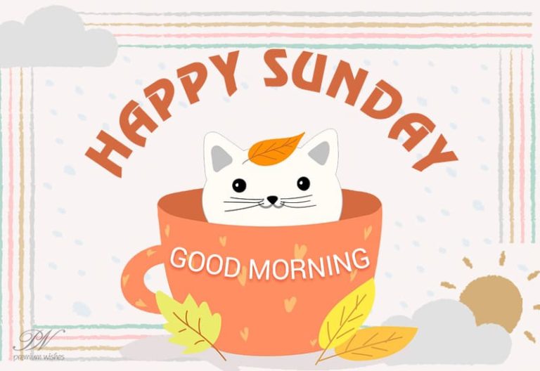 Happy Sunday – Good Morning – Enjoy the day and wallow