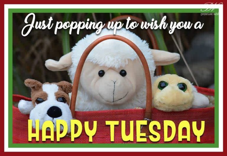 Just pepping up to wish you a Happy Tuesday