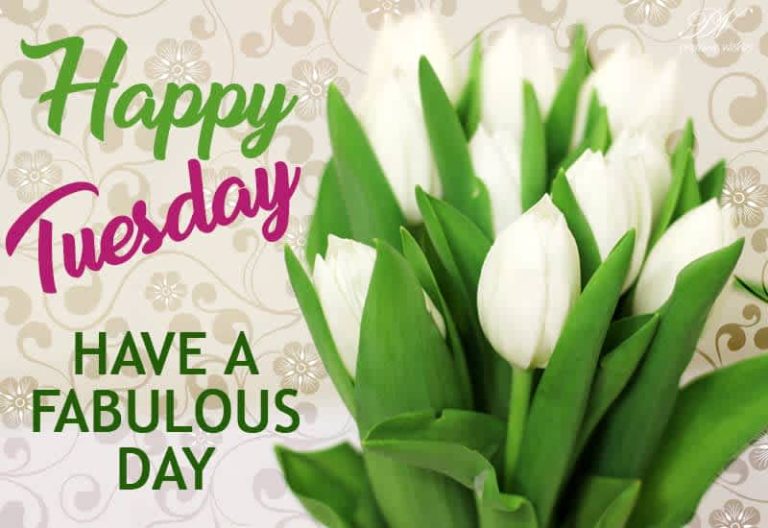 Happy Tuesday – Have a fabulous day Happy Tuesday – Have a fabulous day