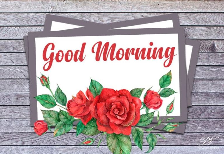 Good Morning Rose For You Good Morning Rose For You