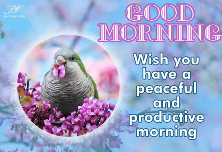 Good Morning Wish you have a peaceful and productive morning Good Morning Wish you have a peaceful and productive morning