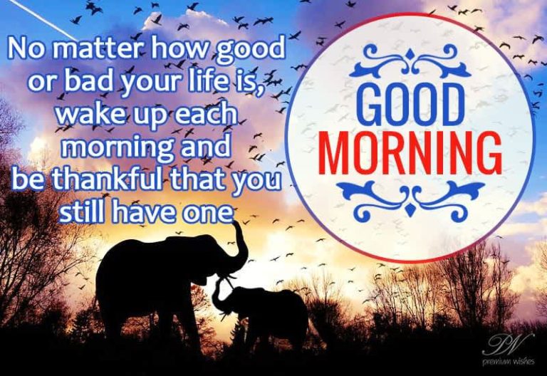 Good Morning – No matter how good or bad your life is, wake up each morning and be thankful that you still have one