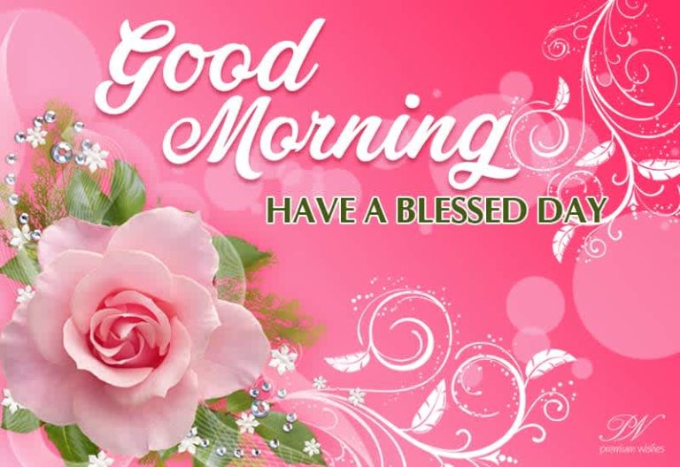 Good Morning – Have a blessed day