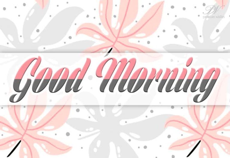 Good Morning – Have a fruitful weekend