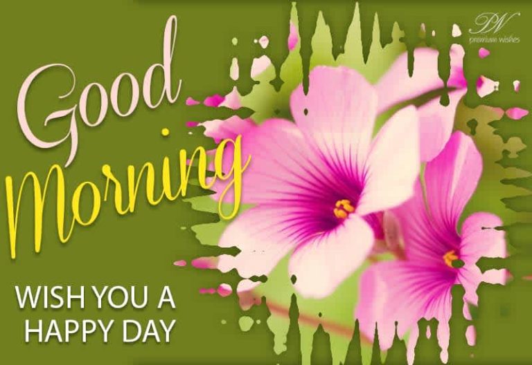 Good Morning – Wish you a happy day Good Morning – Wish you a happy day