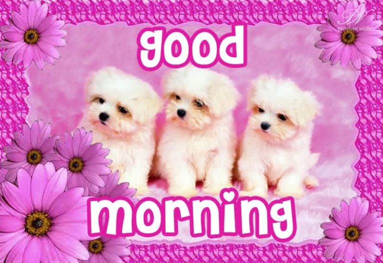 Good Morning – Spend The Morning Among Friends