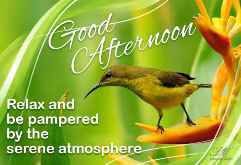 Good Afternoon Wishes