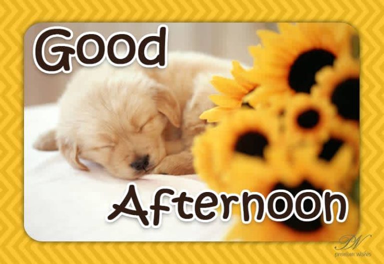 Good Afternoon Wishes