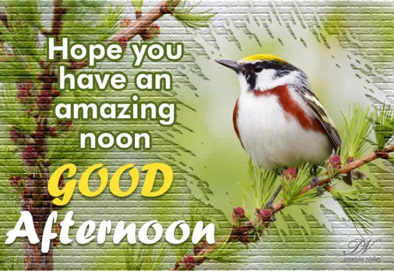 Good Afternoon Wishes