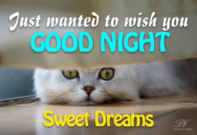 Good Night Wishes