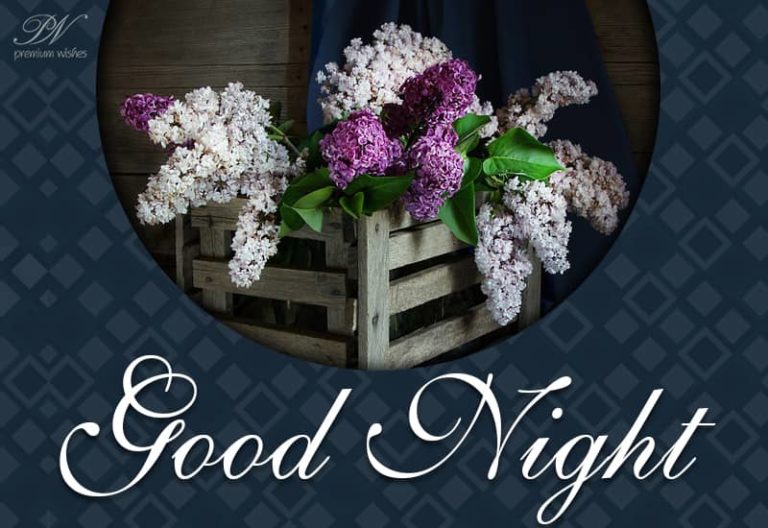 Wishing you a very Good Night – accept the flowers as my token of love