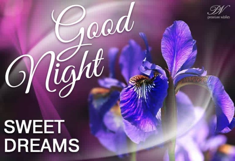 Good Night Wishes
