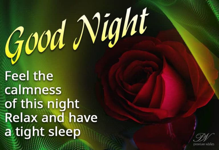 Good Night Wishes
