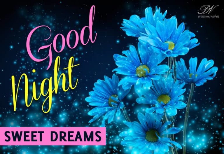 Good Night Wishes