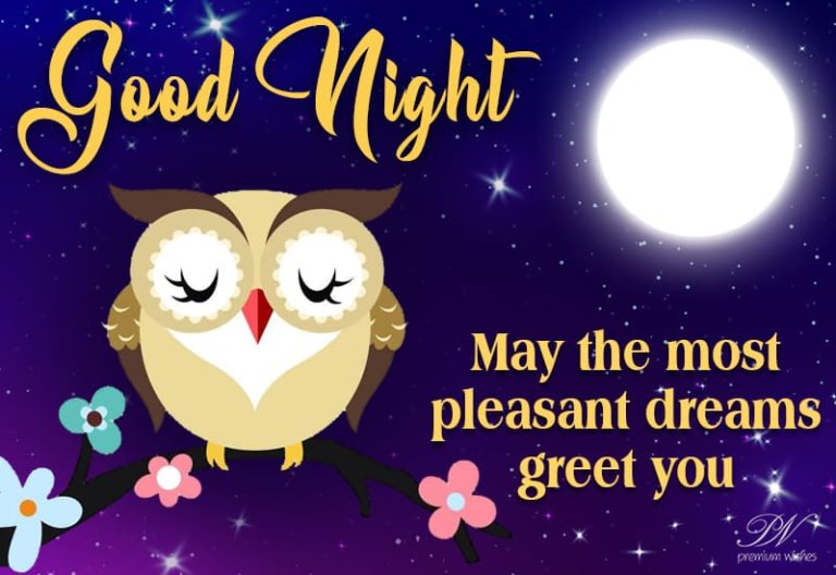 Good Night Wishes