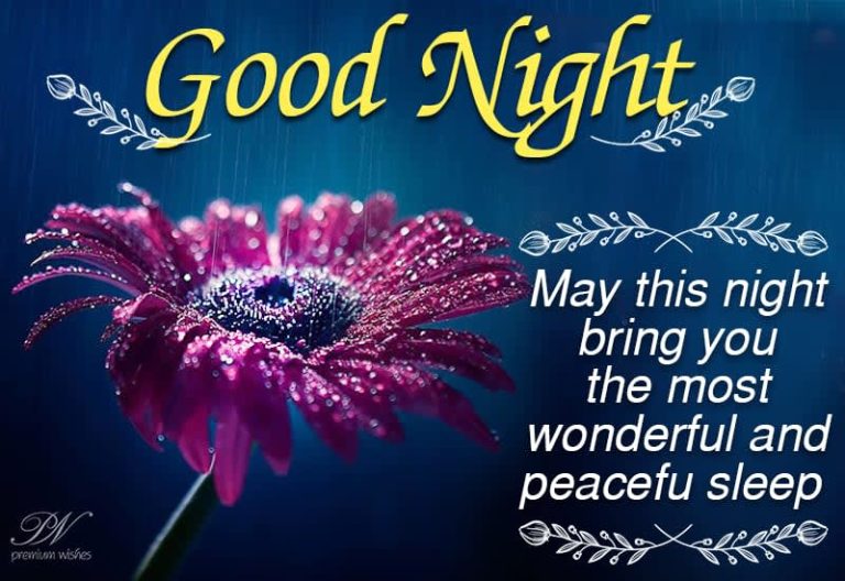 Good Night Wishes