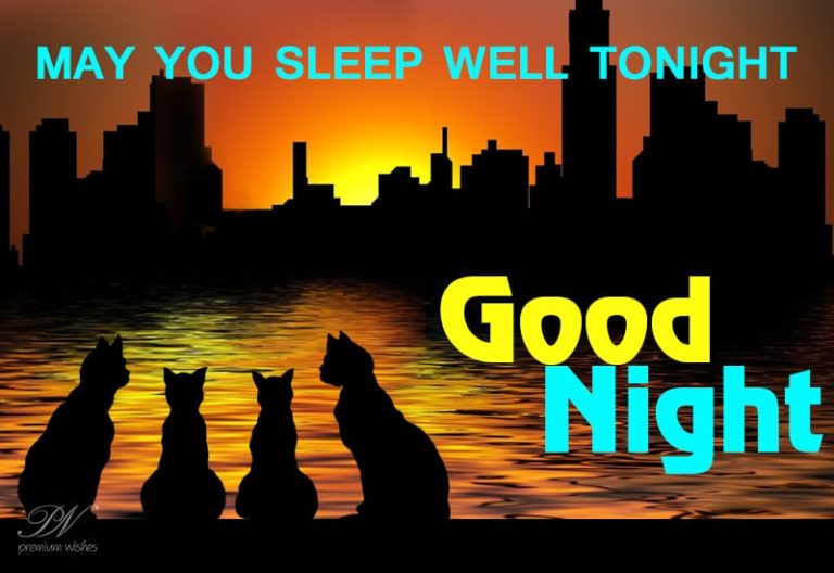 Good Night Wishes