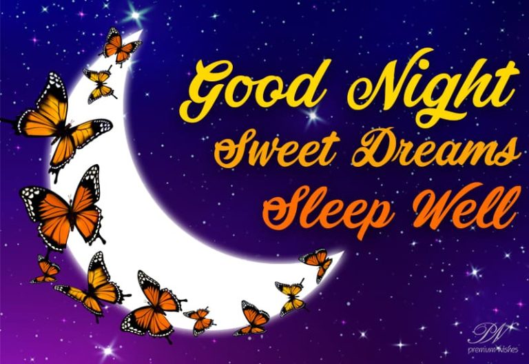 Good Night – Sweet Dreams – Sleep Well Good Night – Sweet Dreams – Sleep Well