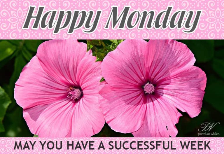 Happy Monday – May you have a successful week