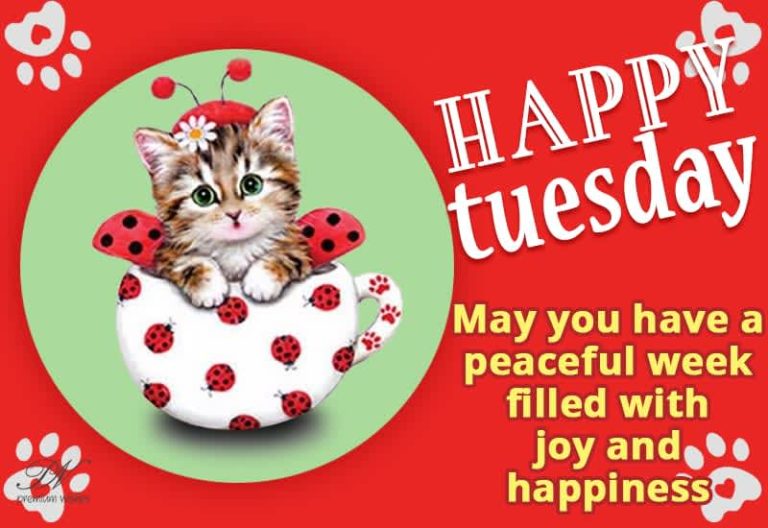 Happy Tuesday – May you have peaceful week filled with joy and happiness Happy Tuesday – May you have peaceful week filled with joy and happiness