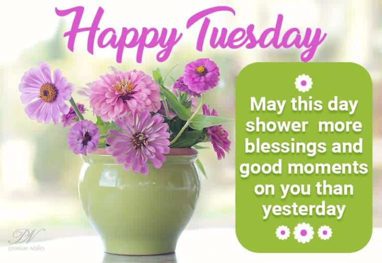 Happy Tuesday – May this day shower more blessings and good moments on you then yesterday