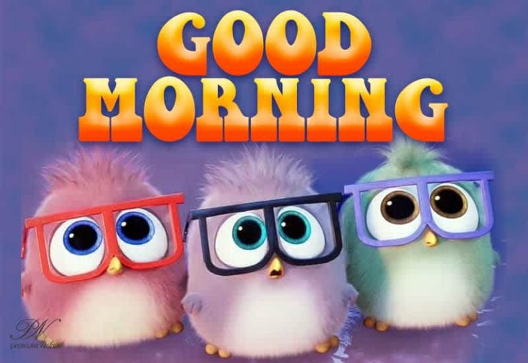 Good Morning  – Be attentive and Enjoy the day