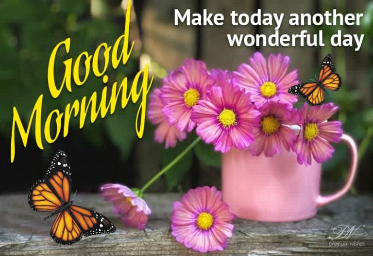 Good Morning – Make today another wonderful day Good Morning – Make today another wonderful day