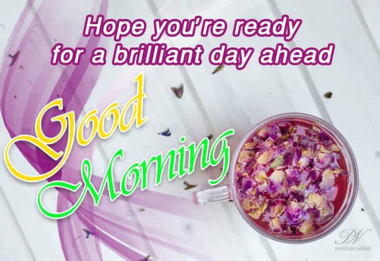 Good Morning – Hope you are ready for a brilliant day ahead