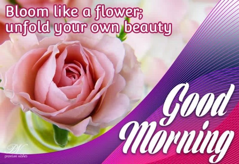 Good Morning – Bloom like a flower; unfold your own beauty Good Morning – Bloom like a flower; unfold your own beauty