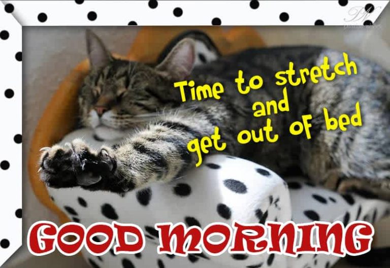 Good Morning – Time to stretch and got out of bed