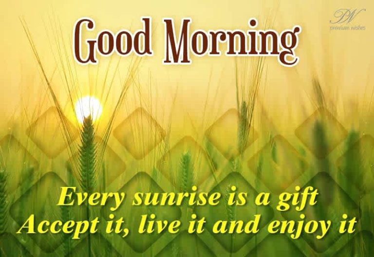 Good Morning – Every sunrise is a gift, accept it, live it and enjoy it Good Morning – Every sunrise is a gift, accept it, live it and enjoy it