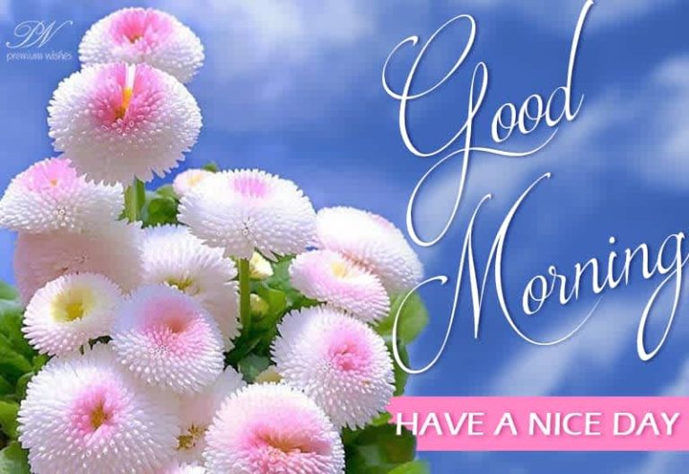 Good Morning – Have the nice and beautiful day ahead Good Morning – Have the nice and beautiful day ahead