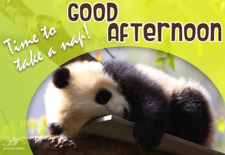Good Afternoon Wishes