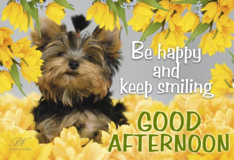 Good Afternoon Wishes