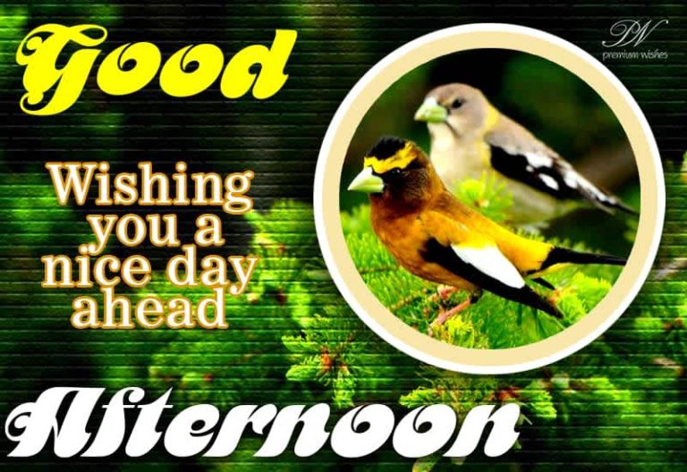 Good Afternoon Wishes
