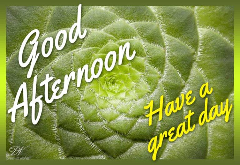 Good Afternoon Wishes