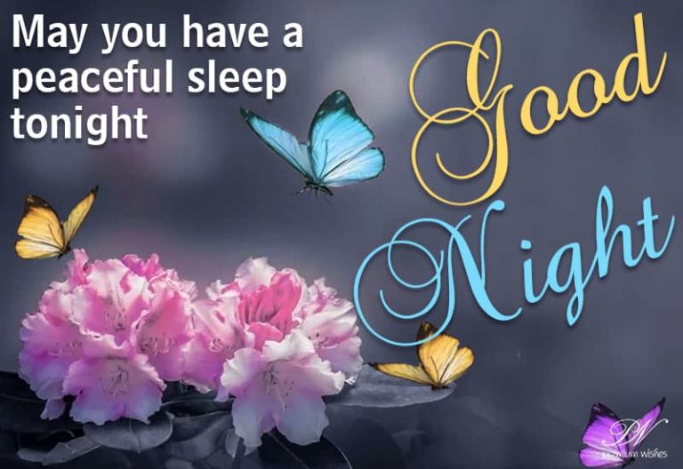 Good Night Wishes