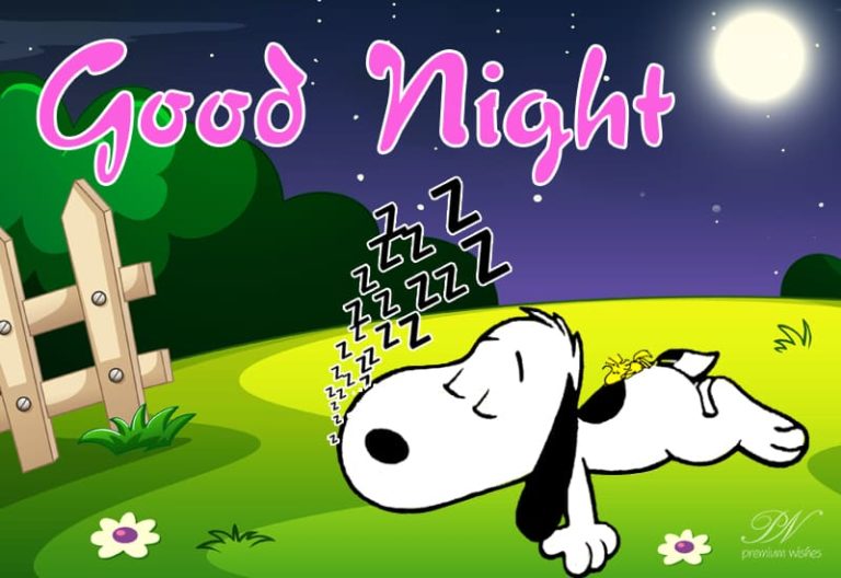 Good Night Wishes