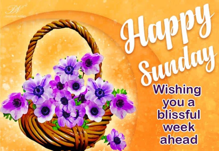 Happy Sunday – Wishing you a blissful week ahead