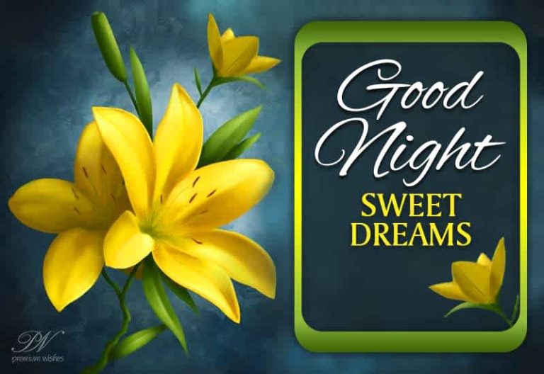 Good Night Wishes