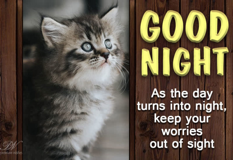 Good Night Wishes