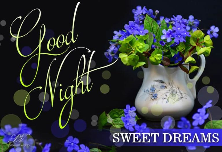 Good Night Wishes