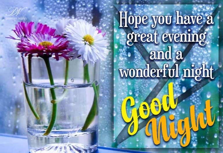 Good Night Wishes