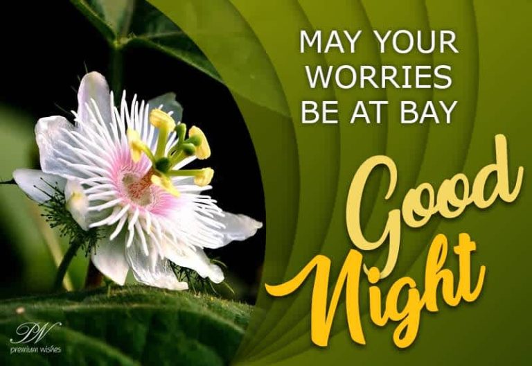 Good Night Wishes