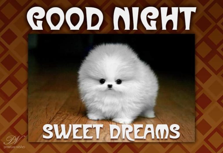 Good Night Wishes