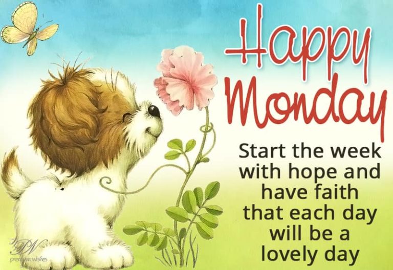 Happy Monday – Start the week with hope and have faith that each day will be a lovely day Happy Monday – Start the week with hope and have faith that each day will be a lovely day