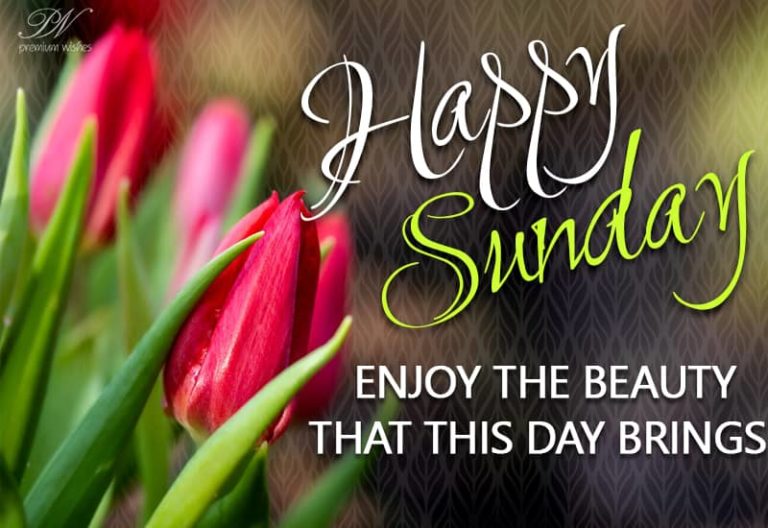 Happy Sunday – Enjoy the beauty that this day brings