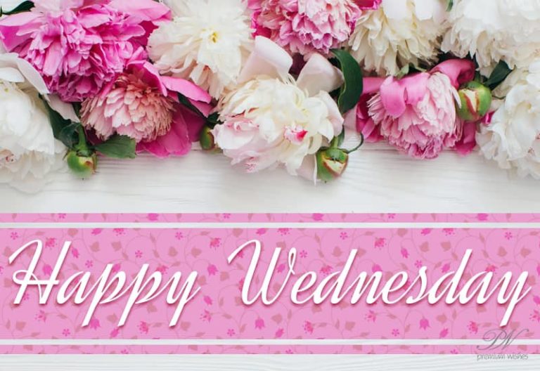 Happy Wednesday – Enjoy the day with these flowers