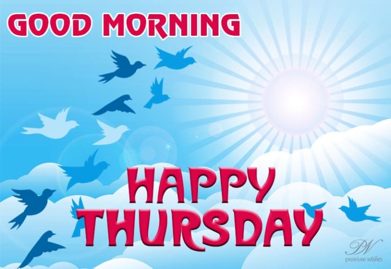 Good Morning – Happy Thursday – Enjoy the sun and the birds Good Morning – Happy Thursday – Enjoy the sun and the birds