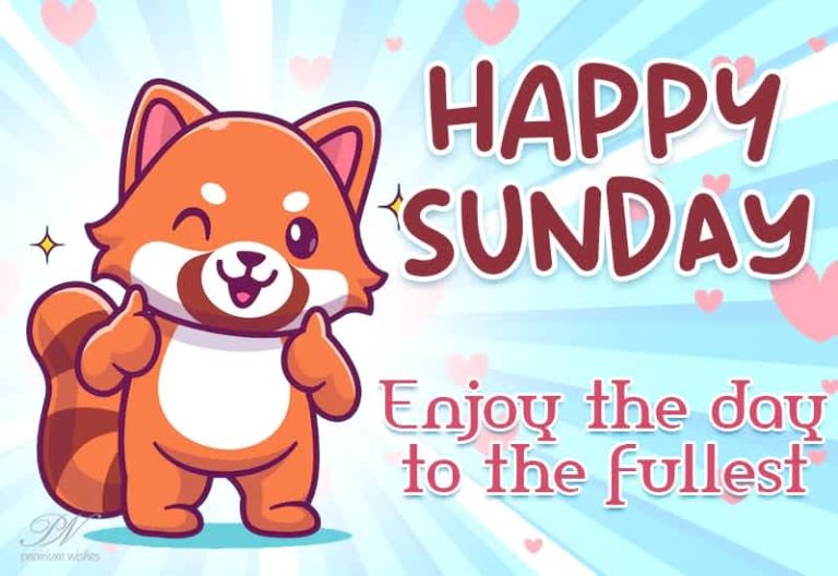 Happy Sunday  enjoy the day to the fullest